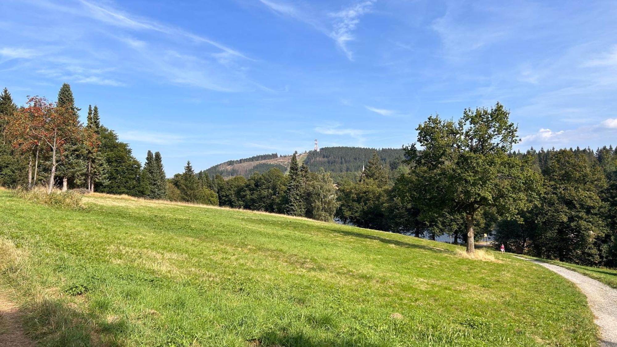 Ferienapartment Hahnenklee Apart 1 戈斯拉尔 外观 照片
